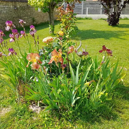 Serenite Bed & Breakfast *