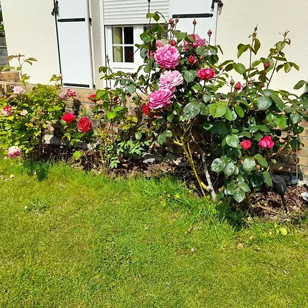 Serenite Bed & Breakfast Moult
