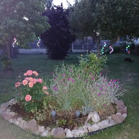 Oda ve Kahvaltı Serenite