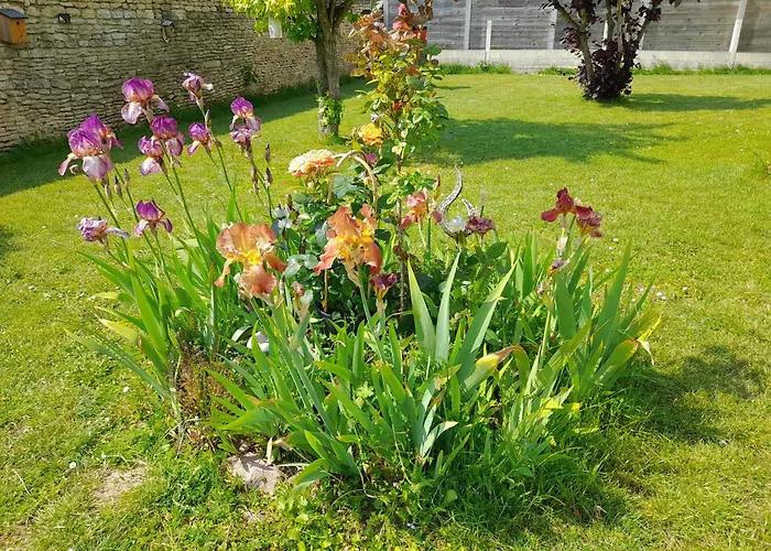 Serenite ベッド・アンド・ブレックファスト *