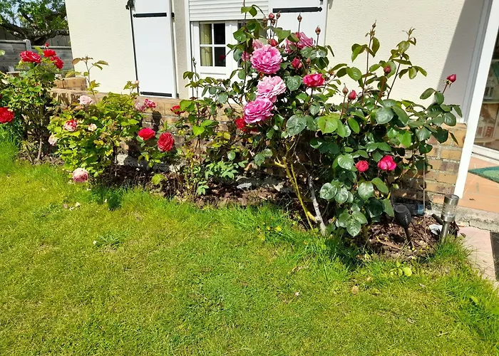 Serenite ベッド・アンド・ブレックファスト Moult