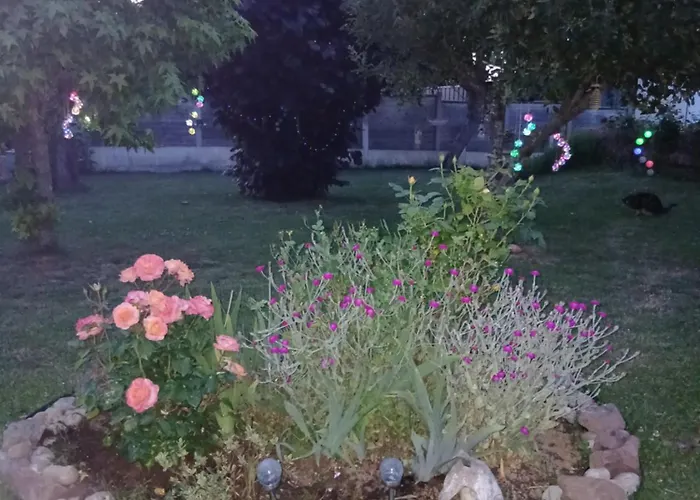 ベッド・アンド・ブレックファスト Serenite